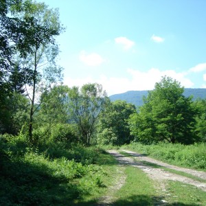 Парцел в с. Валевци (Севлиево)