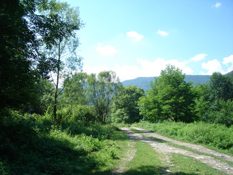 Парцел в с. Валевци (Севлиево)