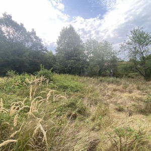 Къща в с. Лоза (Габрово)