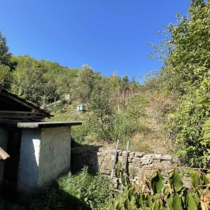 Къща в гр. Плачковци (Трявна)