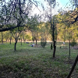 Парцел в гр. Габрово (Габрово)