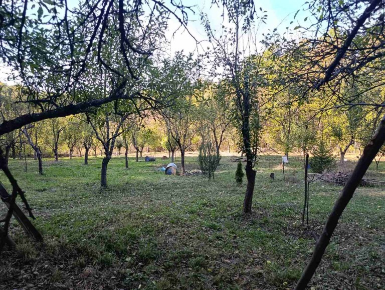 Парцел в гр. Габрово (Габрово)