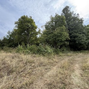 Парцел в гр. Габрово (Габрово)