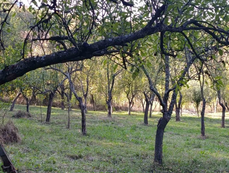 Парцел в гр. Габрово (Габрово)